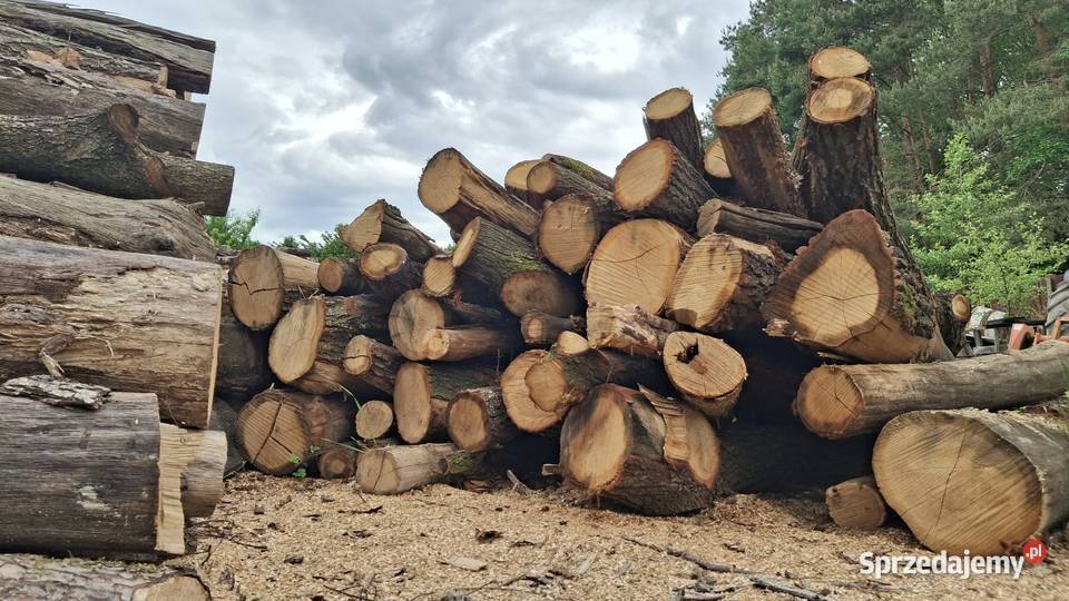 PROMOCJA na drewno kominkowe