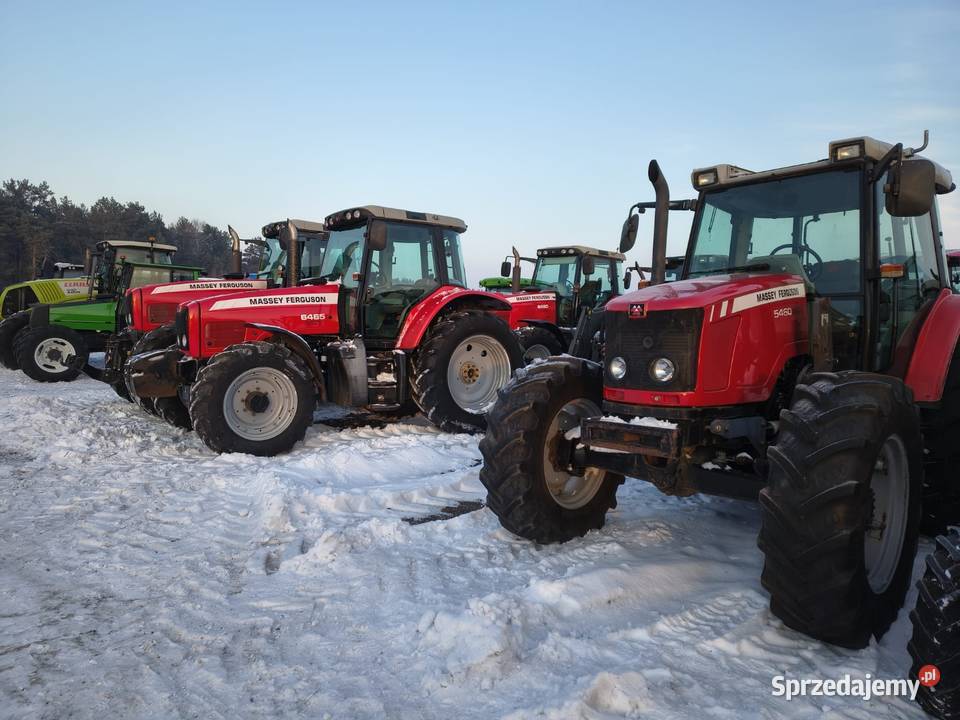 Massey Ferguson 6465 Grabów Szlachecki sprzedam
