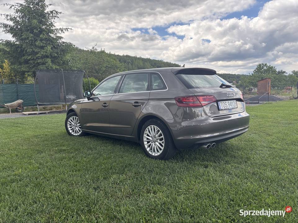 AUDI A3 20 TDI stan świętokrzyskie Nietulisko Małe