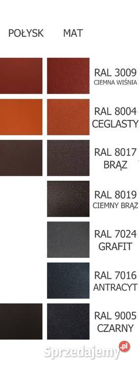 Przęsło ogrodzeniowe palisadowe nowoczesne śląskie Chorzów