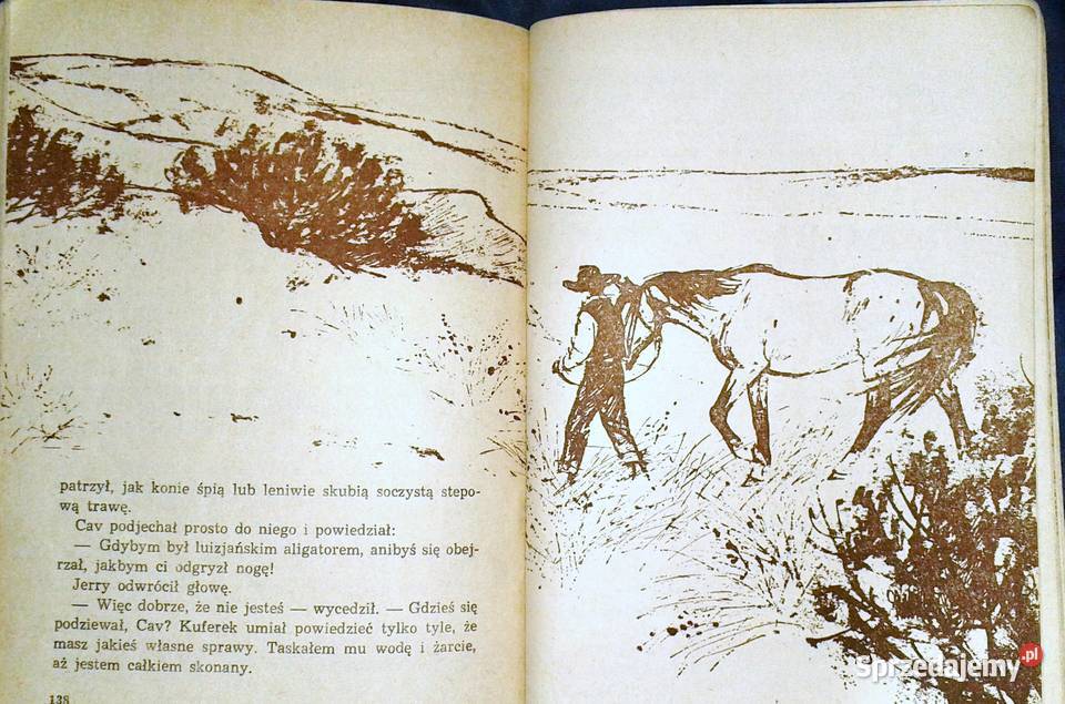 Kowbojskie ostrogi Richard Wormser Chełm