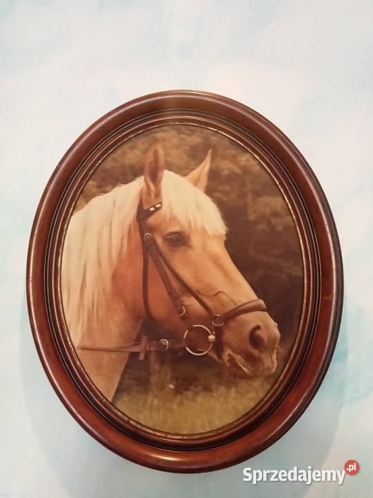 medale Polanica-Zdrój