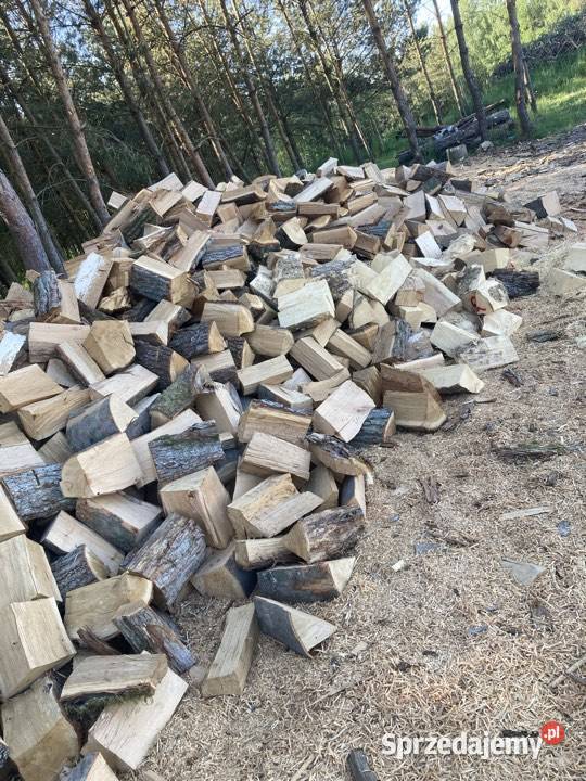 Drewno Buk brzoza mix sosna Gryfino