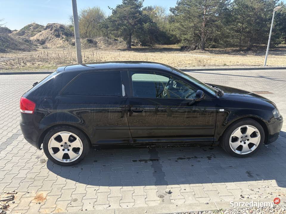 Audi A3 8P 20 TDI BMM 307160km Toruń