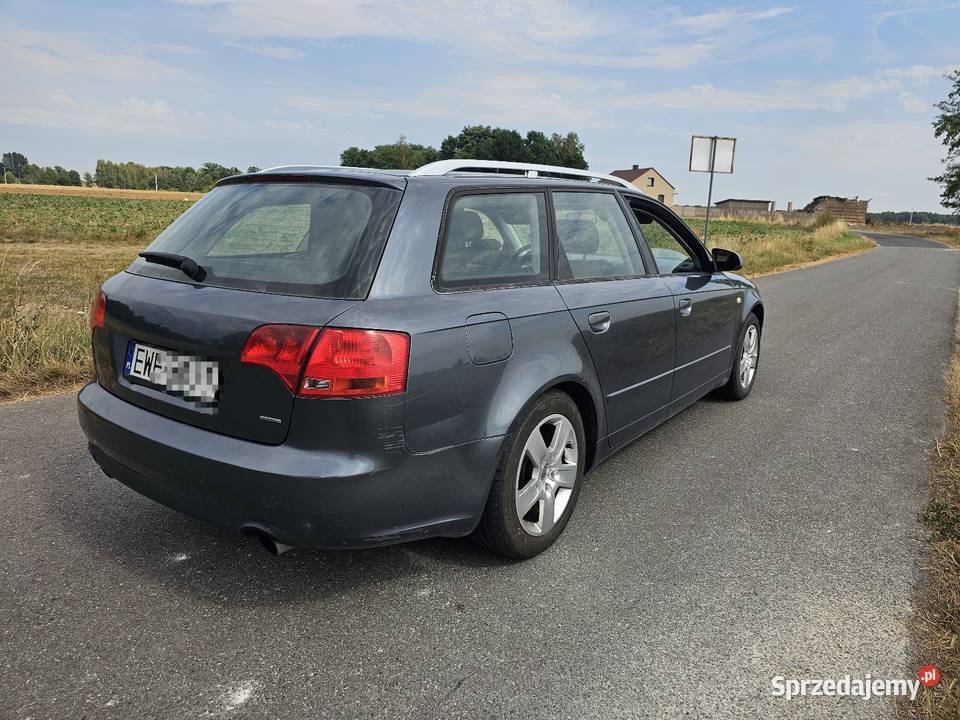 Audi a4b7 quattro manualna Chotynin