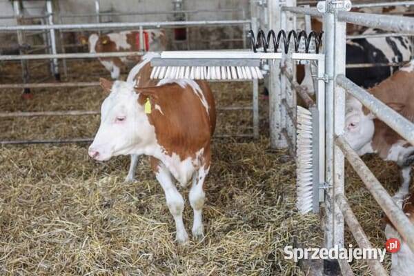 Sprężyna czochradła bydła 6033KR