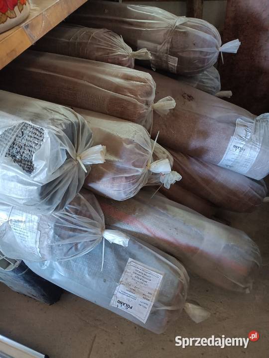 Wykładziny używane biurowe rożne wymiary kolory Lubartów