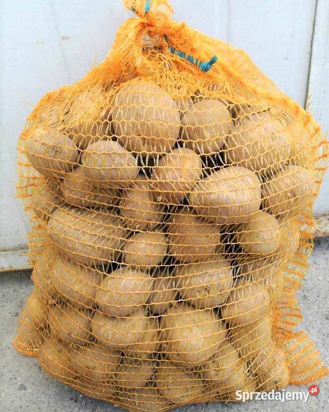 Ziemniaki jadalne Vineta wielkopolskie