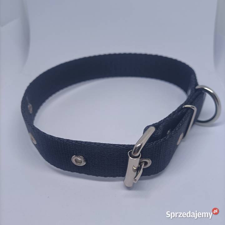 Obroża psa 25mm80 Gorzów Wielkopolski