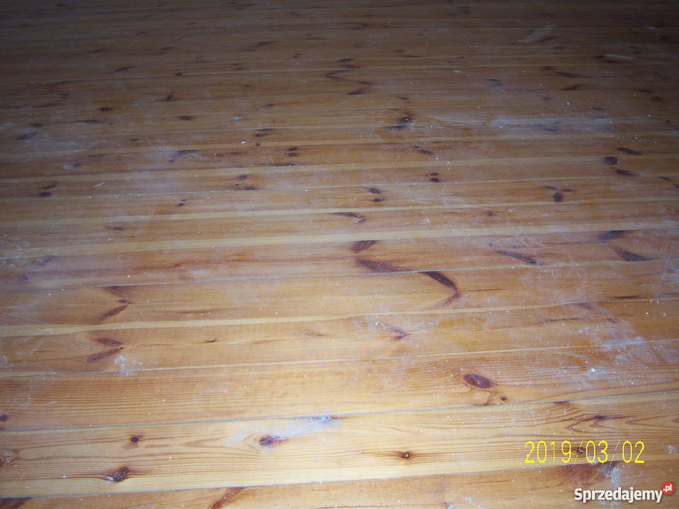 Deska podłogowa sosnowa