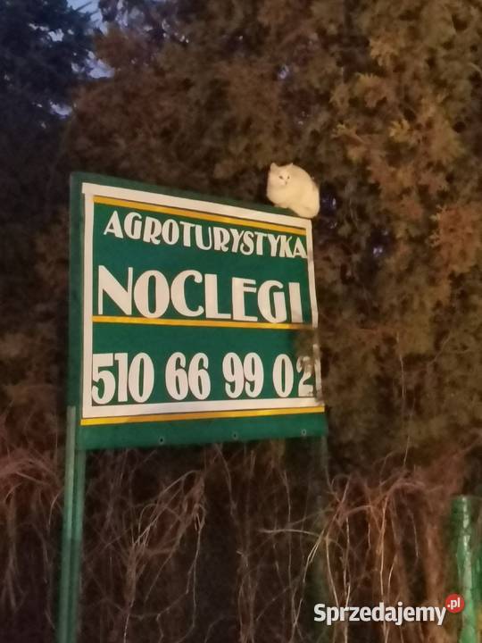 Agroturystyka noclegi Hedwiżyn Biłgoraj