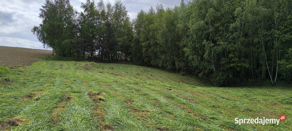 Działka rolno rekreacyjna 41arów