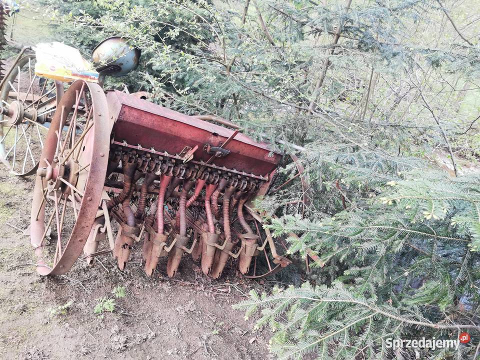 Siewnik i inne Baligród