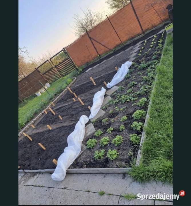 Ogródek dzialkowy Wrocław sprzedam