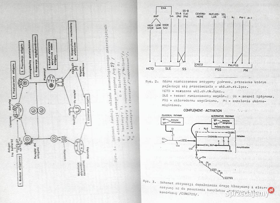 Postępy w reumatologii Eugeniusz Małdyk Chełm