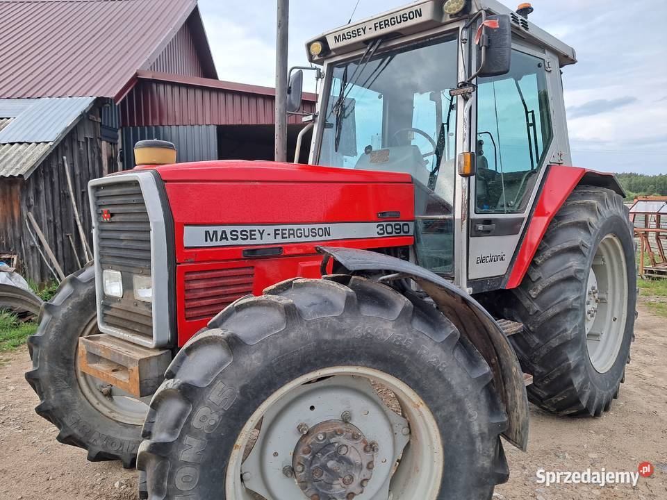 Massey Ferguson 3090 Ferguson Hajnówka