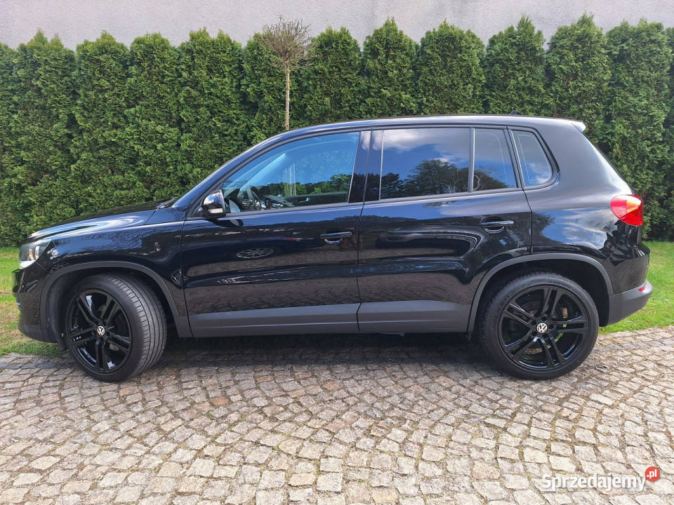 Volkswagen Tiguan BlueMotion Technology Trend Siewierz