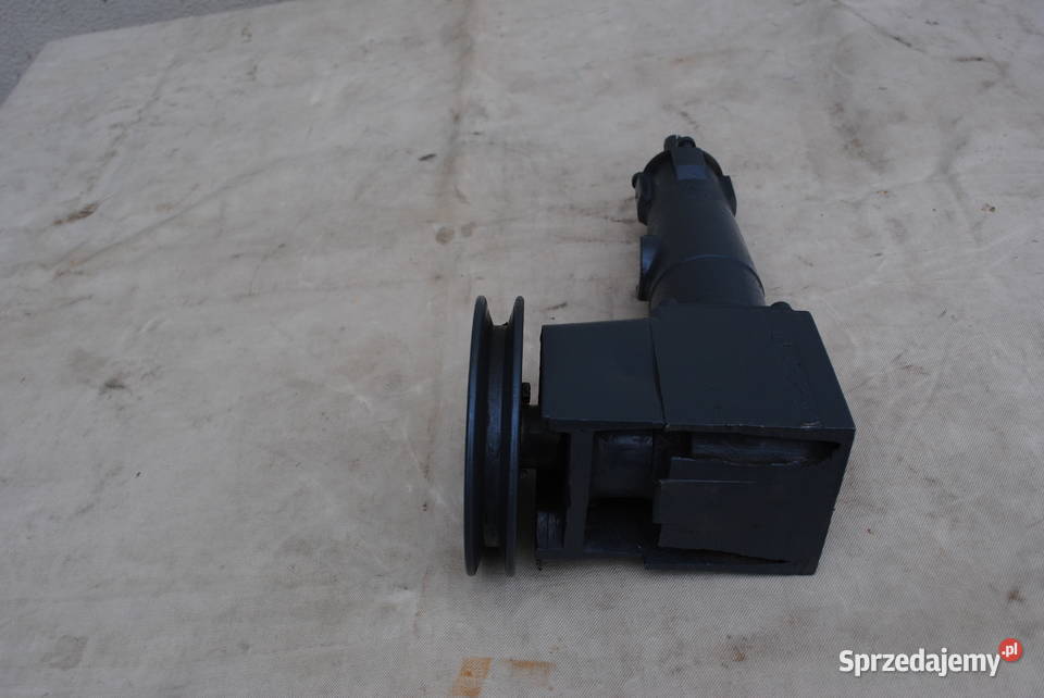 Wyrzynarka pionowa taśmowa włosowa mimośród mazowieckie