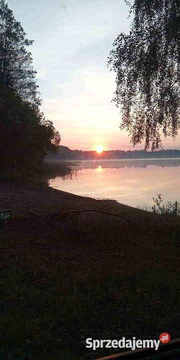 Piękna Działka leśna jeziora Świetajno 3000m2 Brajniki