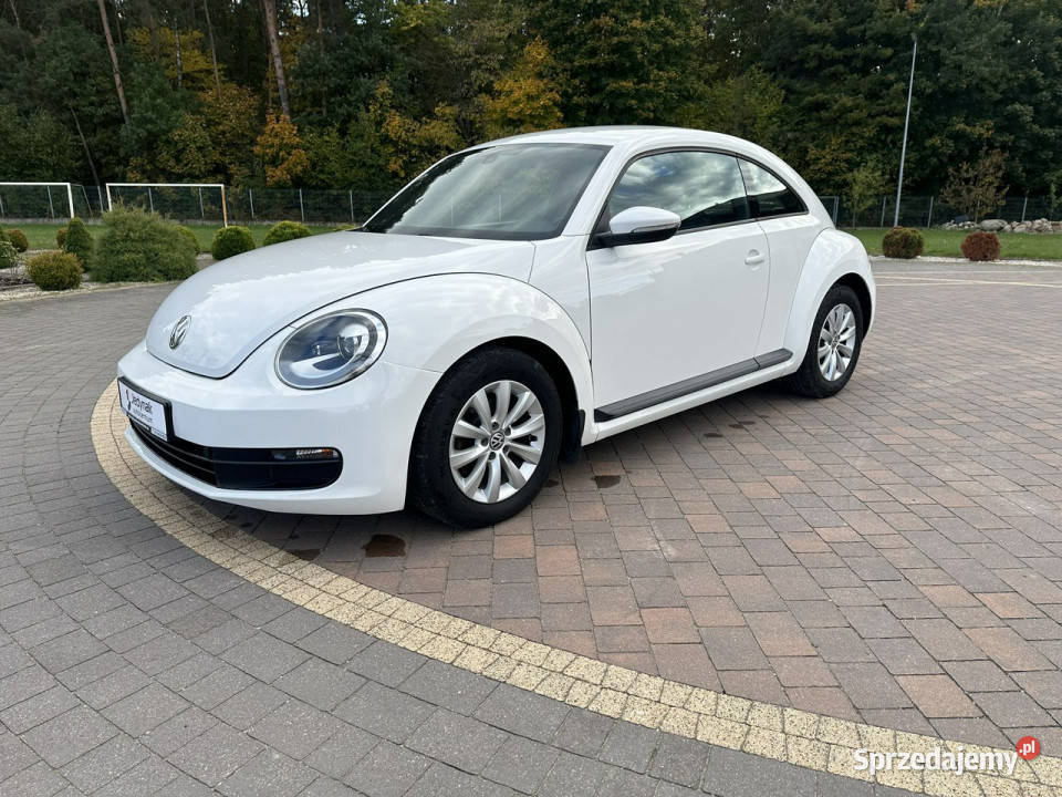 Volkswagen Beetle Beetle Lipówki