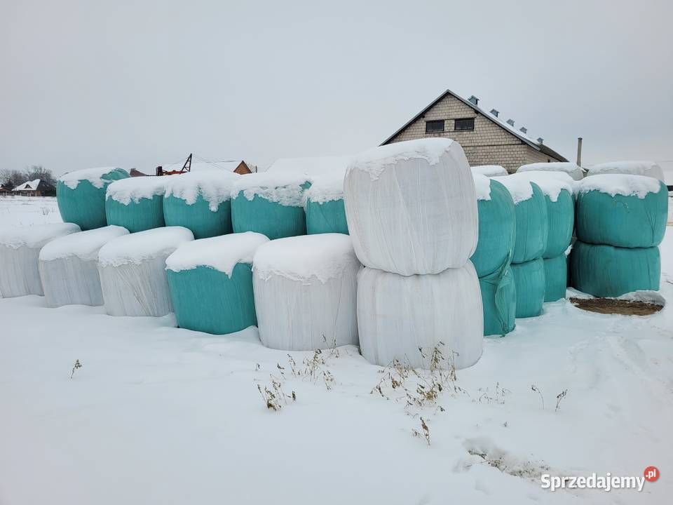 Bele sianokiszonki sianokiszonka Trawy, słoma Sokoły sprzedam
