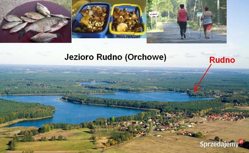 Wynajmę domek letniskowy 6os 200 jeziorem w Rudno