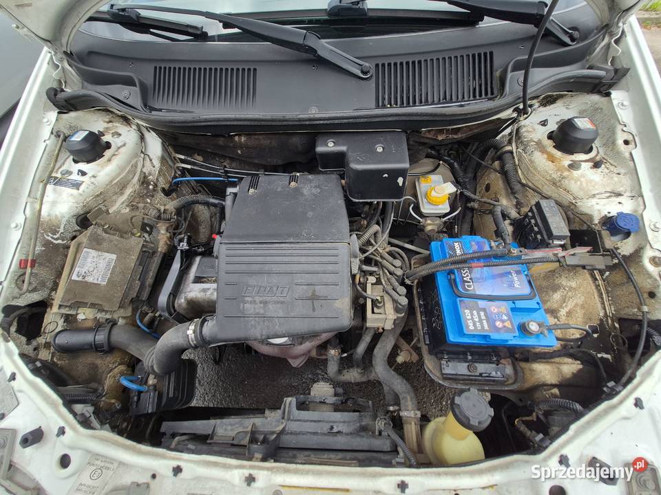 FIAT PUNTO SOLO 1999R 54 PRZEBIEGU SUPER STAN podkarpackie