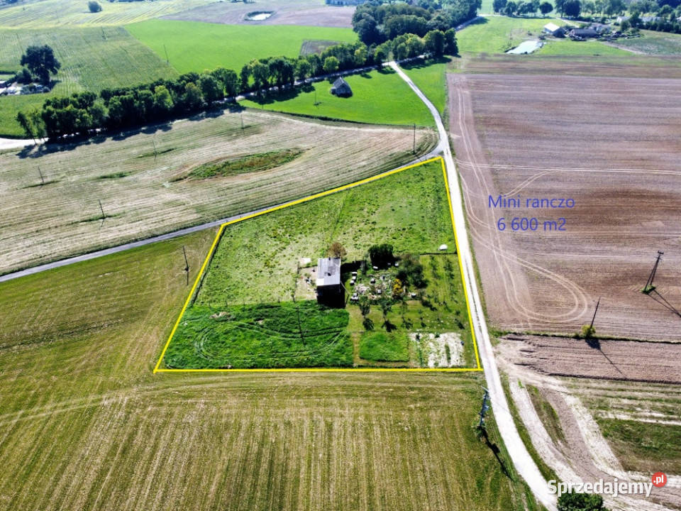 Mini ranczo pośród jezior Buk Góralski Sprzedaż Brodnica
