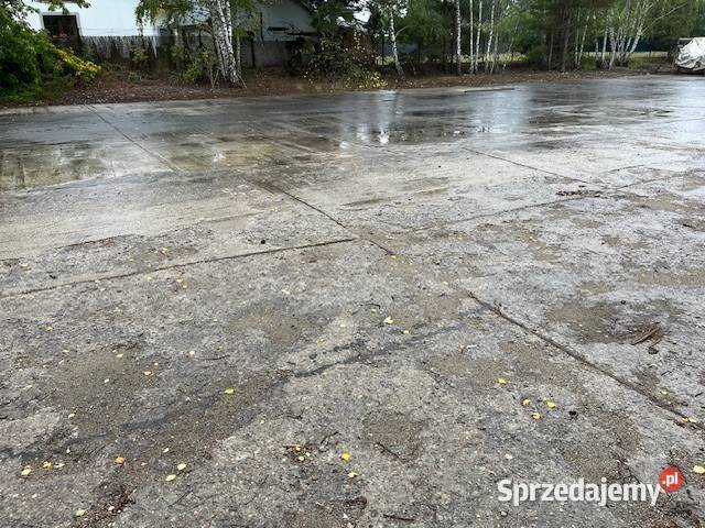 Wynajmę plac utwardzony 2500m2 Olszewnica Stara