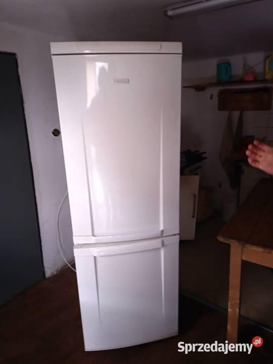 Lodówka Electrolux 170 x 50 x 50 170cm Gorzyce