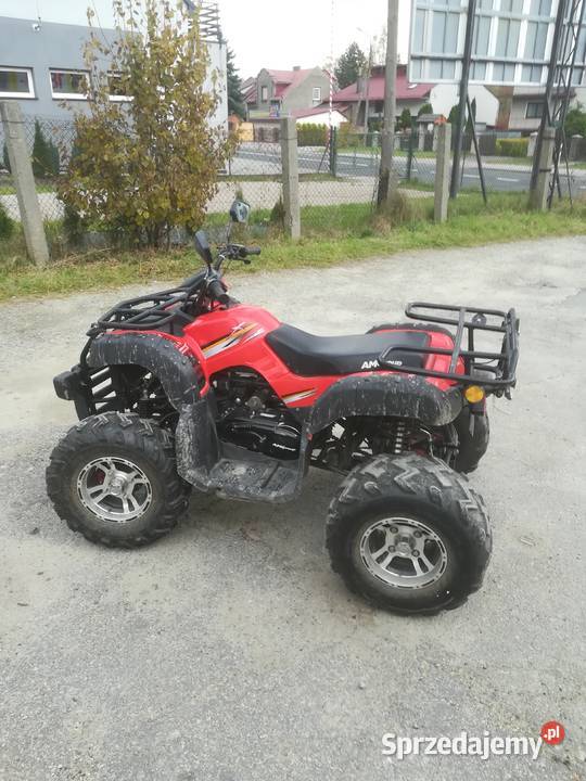 BASHAN BS200AU11B Sucha Beskidzka