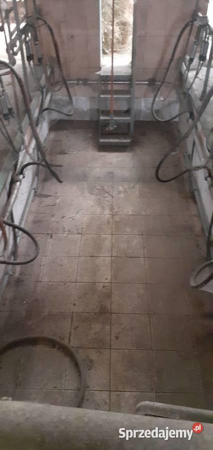 Pozostałe rolnicze nieuszkodzony Kolno sprzedam