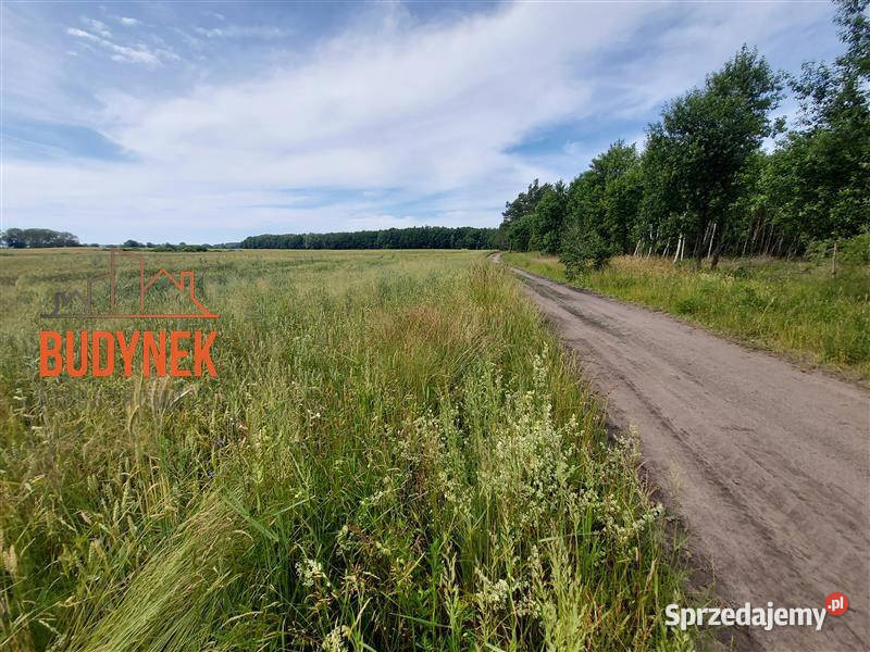 Działka budowlana Boryszewo 3166m2