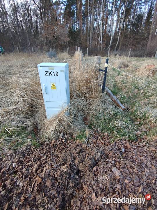 Sprzedam przepiękną działkę pod lasem zachodniopomorskie Goleniów sprzedam