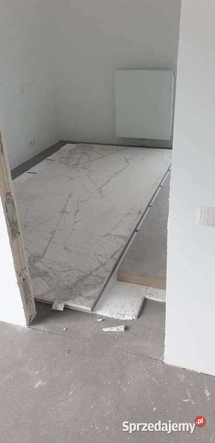 Drabina dekarska budowlana paus winda meblowa Katowice