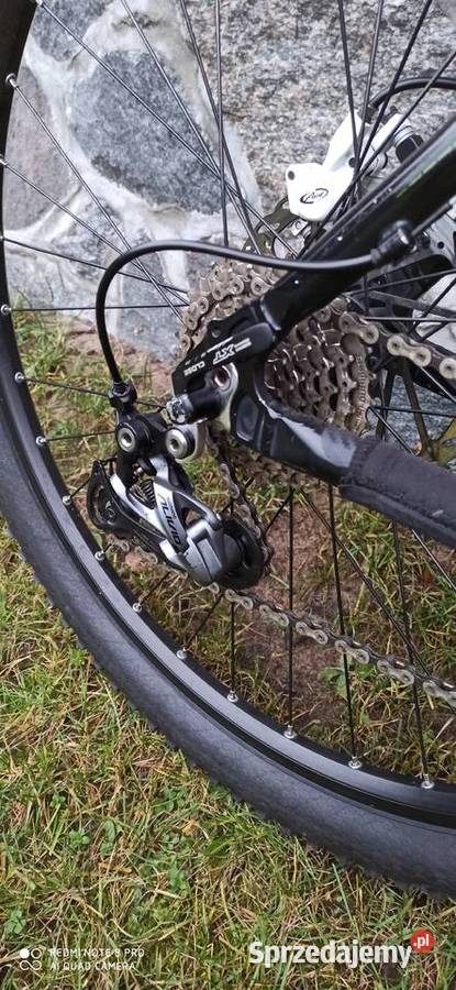 Rower Leader Fox Evolution