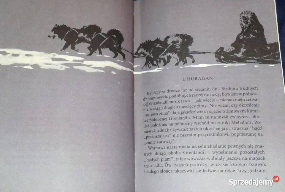 Duch lodu Piotr Korda Chełm