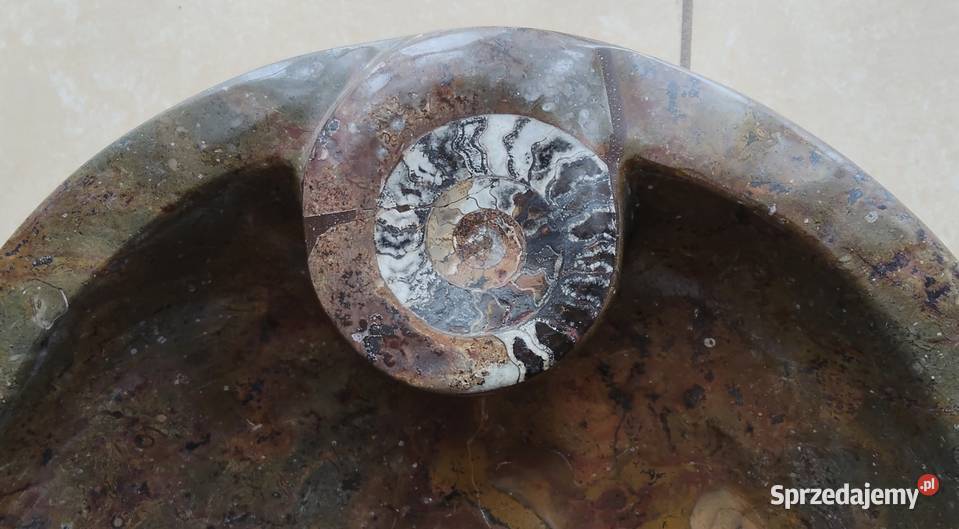 UMYWALKA UMYWALKI SKAMIELINY Z MAMRURU podkarpackie Rzeszów