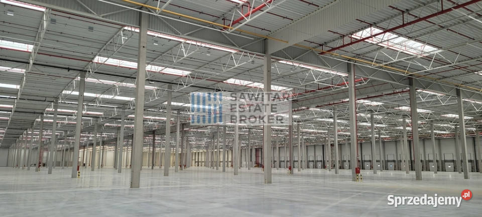 Nowoczesny magazyn A1A4 Bez Prowizji Gliwice