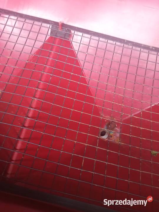 Rozsiewacz Armasz 1400L Kalinówka