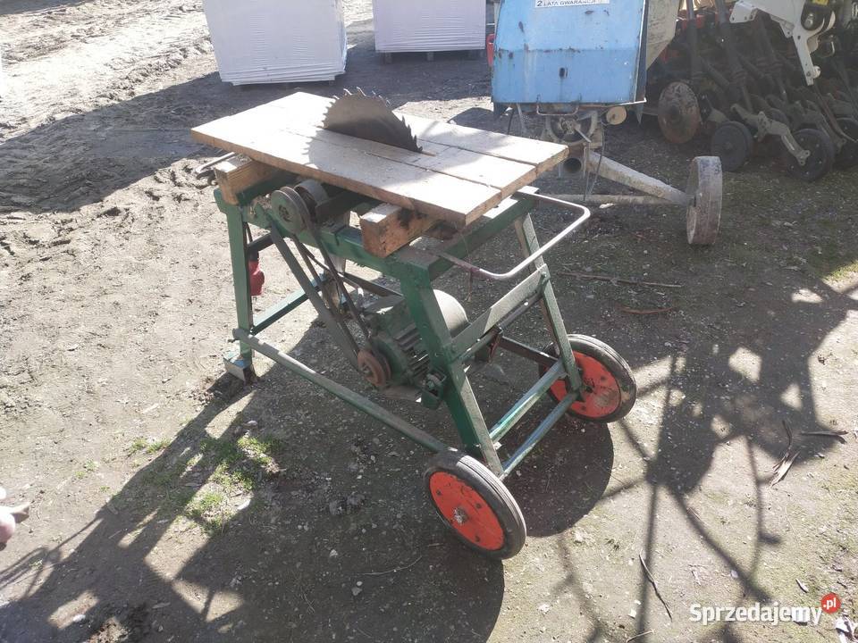 Trajzega jedną z dwóch Ignatów-Kolonia