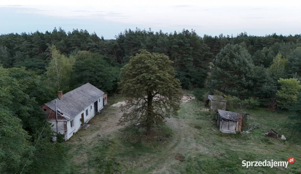 Wyjątkowe siedlisko 57 ha z własnym lasem cegła Jadwichna
