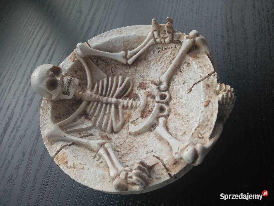 Popielniczka Szkielet Kolekcjonerska Ruda Śląska