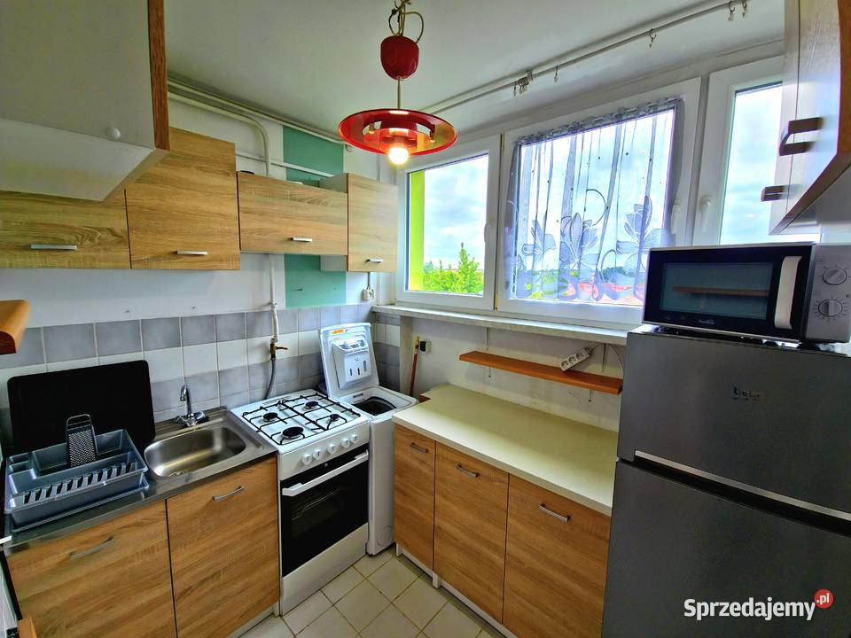 3pok 56met Kruczej ROZKŁADBALKONPIWNICA Wrocław 3 piętra i więcej