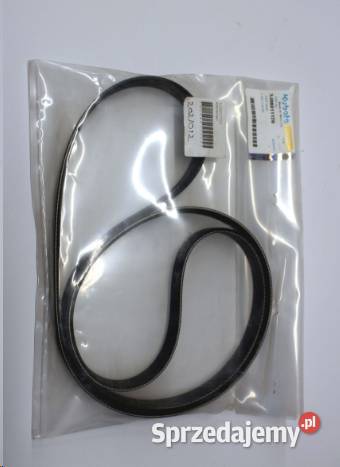 Pasek 6pk 1660 Kobylnica