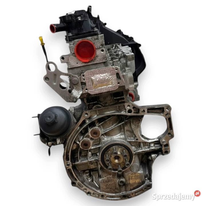 SILNIK T1DB Ford Focus III C C 16 TDCI 115 lubelskie Chełm