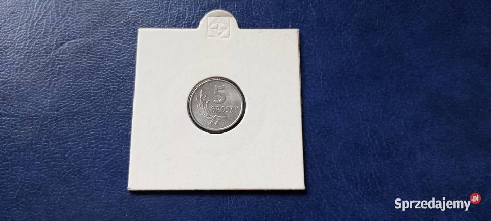 Stare monety 5 groszy 1971 Polska PRL mennicza Antyki, Sztuka, Kolekcje