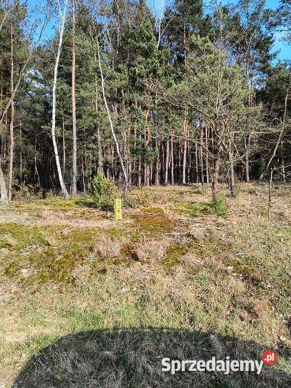 Syndyk sprzeda udział 25 w nieruchomości w Woli Wola Ducka