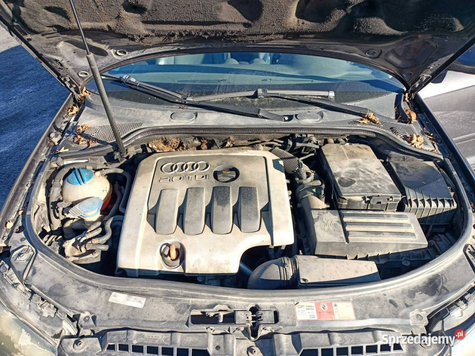 Audi A3 3drzwiowe Audi A3 20TDI 140 03r 8P Tarnów
