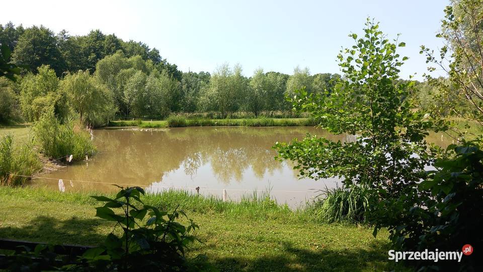 Działka lubuskie Sulechów